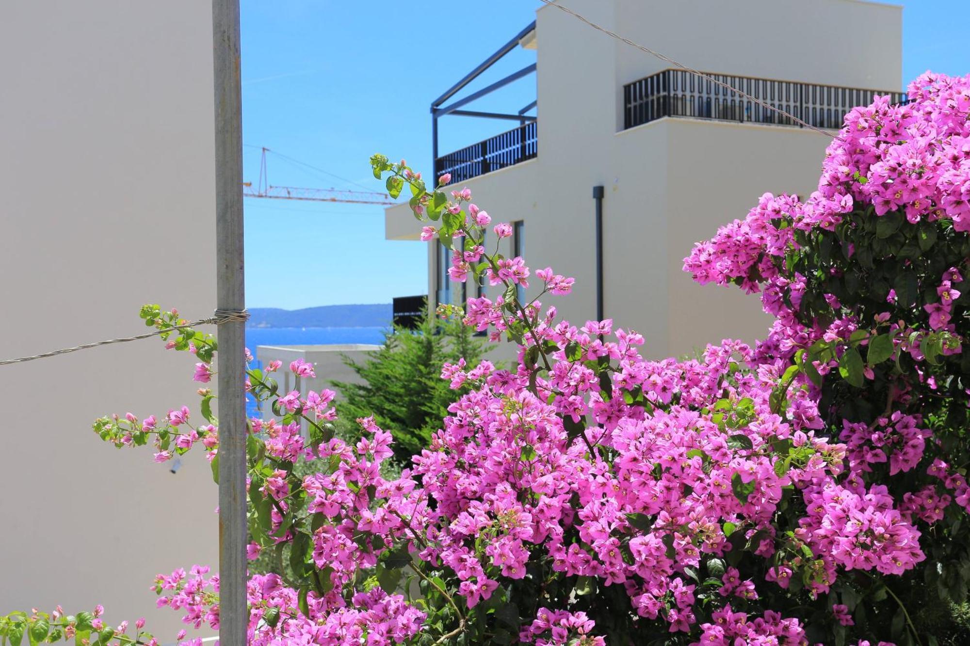 Family Friendly Apartments With A Swimming Pool Businci, Ciovo - 11232 Трогир Экстерьер фото